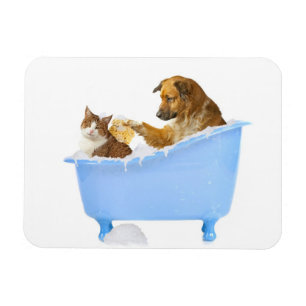 Magnet Flexible Lavage de chat