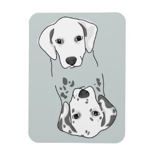 Magnet Flexible Lave-vaisselle propre/sale