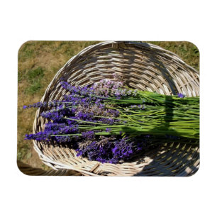 Magnet Flexible Lavender