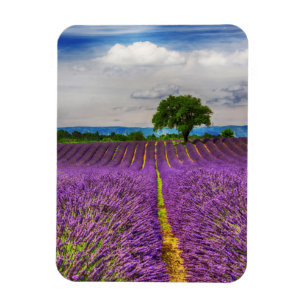 Magnet Flexible Lavender Field pittoresque, France