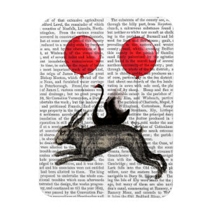 Magnet Flexible Le bateau de lièvres