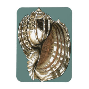 Magnet Flexible Le bijou de l'océan