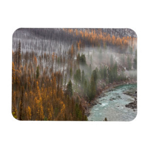 Magnet Flexible Le brouillard se lève sur les mélèzes d'automne