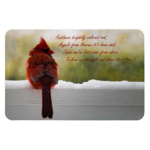 Magnet Flexible Le Cardinal du ciel