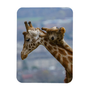 Magnet Flexible Le cou et le cou des girafes