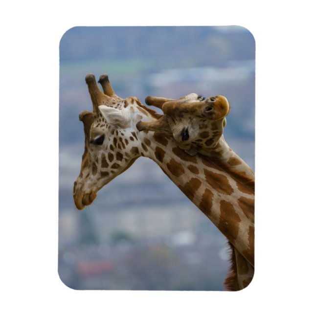 Magnet Flexible Le cou et le cou des girafes (Vertical)