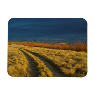 Magnet Flexible Le coucher de soleil met en valeur l'écorce rouge