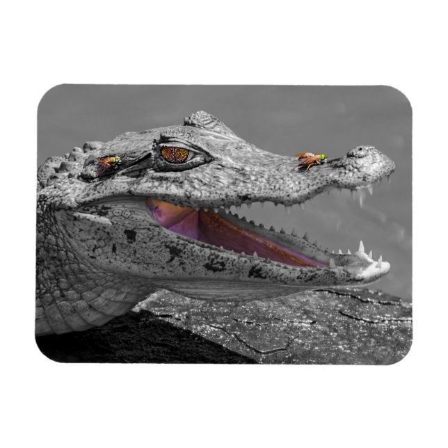Magnet Flexible Le crocodile souriant et les mouches (Horizontal)