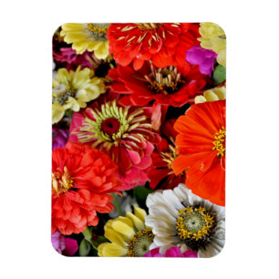Magnet Flexible Le dahlia coloré fleurit l'aimant