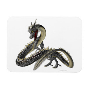 Magnet Flexible Le dragon d'argent