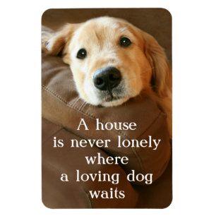 Magnet Flexible Le golden retriever une Chambre n'est jamais isol