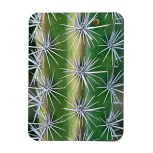 Magnet Flexible Le jardin botanique Huntington, Cactus Pieuvre