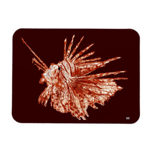 Magnet Flexible Le Lionfish