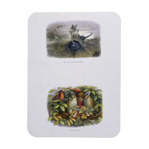 Magnet Flexible Le Messager de la Reine des Fées, et Elfe et Choue