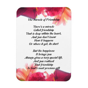 Magnet Flexible Le miracle de l'amitié