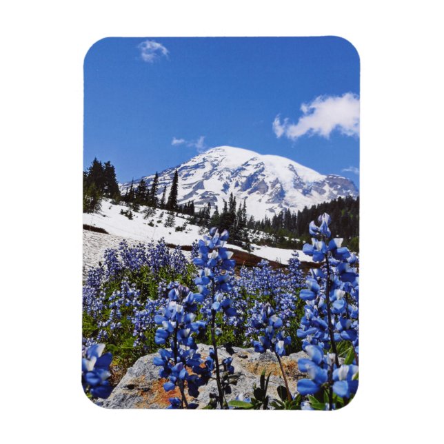 Magnet Flexible Le Mont Rainier à Paradise Point (Vertical)