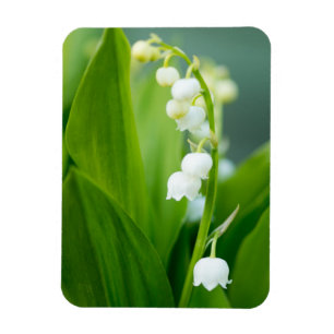 Magnet Flexible Le muguet