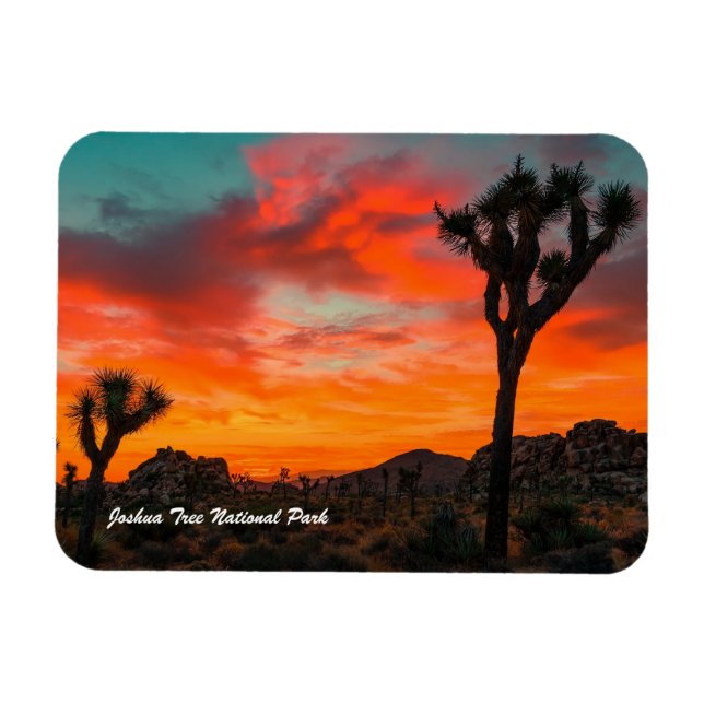 Magnet Flexible Le Parc national de Joshua Tree (Horizontal)