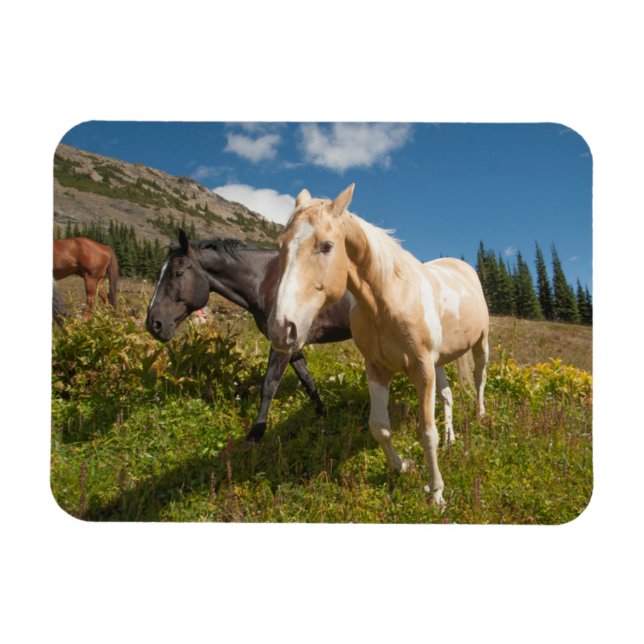 Magnet Flexible Le Parc national de North Cascades (Horizontal)