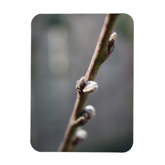 Magnet Flexible Le printemps arrive (Vertical)