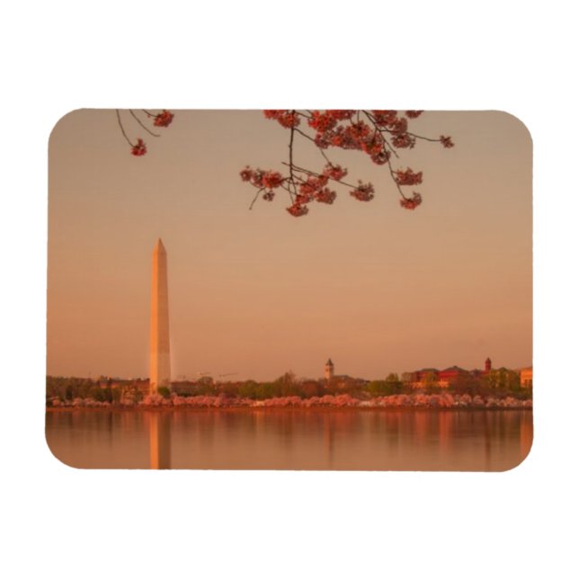 Magnet Flexible Le Sakura de Washington est sunset. (Horizontal)