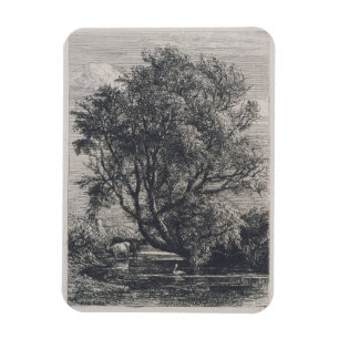 Magnet Flexible Le saule (gravure à l'eau-forte)