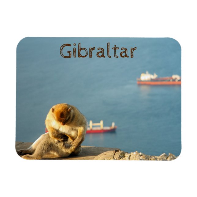Magnet Flexible Le singe de Gibraltar (Horizontal)