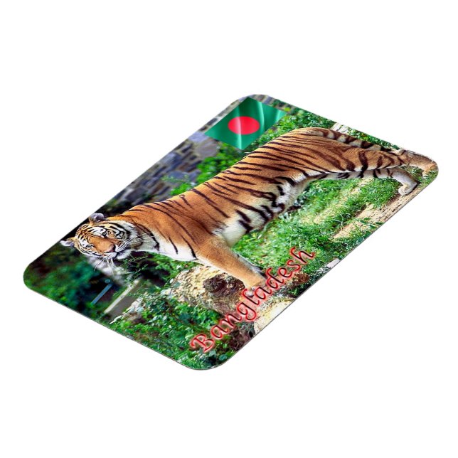 Magnet Flexible Le tigre royal du Bengale (Côté Gauche)