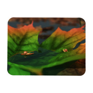 Magnet Flexible L'Eau Est Un Large Aimant Flexible