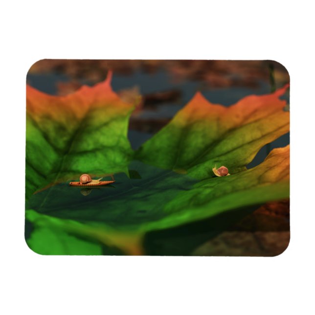 Magnet Flexible L'Eau Est Un Large Aimant Flexible (Horizontal)