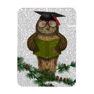 Magnet Flexible Lecture de hibou sur la branche