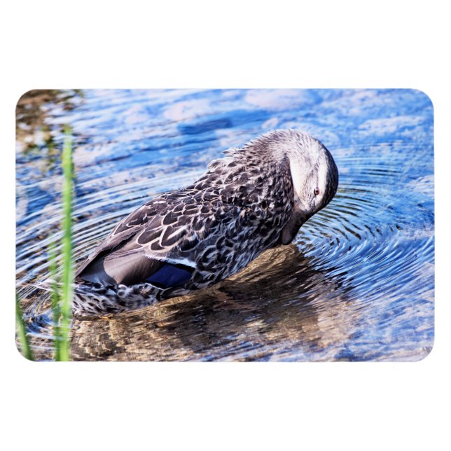 Magnet Flexible L'effet de toilettage (Horizontal)