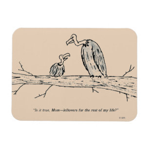 Magnet Flexible Leftovers