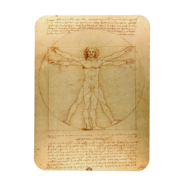 Magnet Flexible Leonardo Da Vinci, Homme Vitruvien, Ratio D'Or (Vertical)