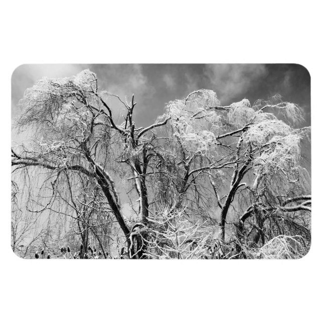 Magnet Flexible les arbres portent l'hiver (Horizontal)