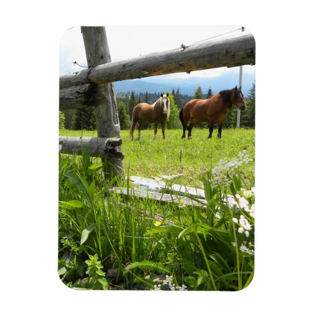 Magnet Flexible Les Carpates - Ukraine (Vertical)