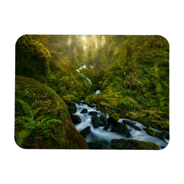 Magnet Flexible Les cascades | Parc National Olympique, Washington (Horizontal)