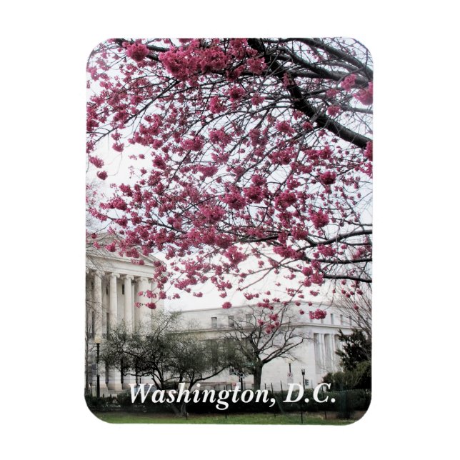 Magnet Flexible Les cerisiers fleurissent. Washington, D.C. (Vertical)