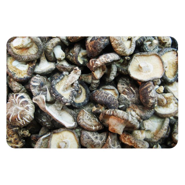 Magnet Flexible Les champignons shiitake (Horizontal)