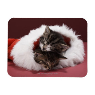 Magnet Flexible Les chatons dorment ensemble en casquette de Noël