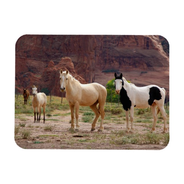Magnet Flexible Les chevaux navajos courent librement sur le fond  (Horizontal)