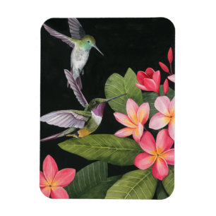 Magnet Flexible Les colibris de la Plumeria