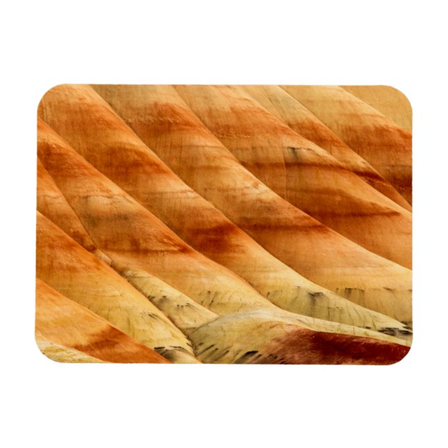 Magnet Flexible Les collines peintes dans les lits de fossiles de  (Horizontal)