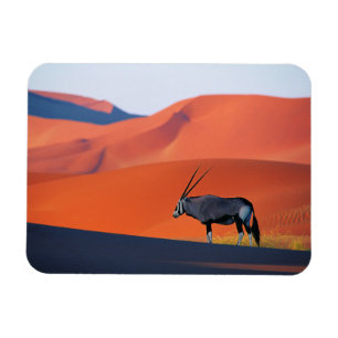 Magnet Flexible Les déserts   Namib Desert Oryx