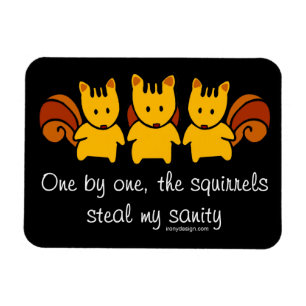 Magnet Flexible Les écureuils volent ma santé d'esprit