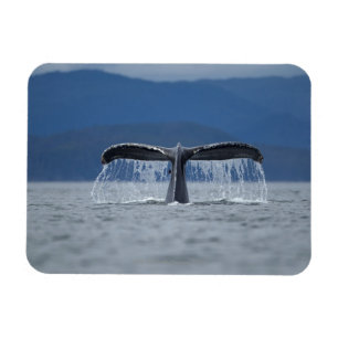 Magnet Flexible Les Etats-Unis, Alaska, réserve forestière de