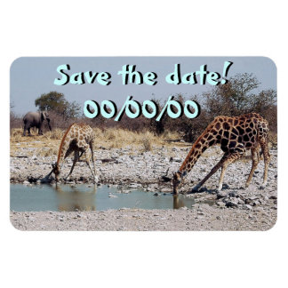 Magnet Flexible Les girafes au trou d'eau