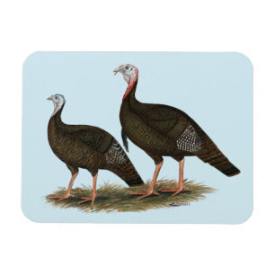 Magnet Flexible Les Jeunes Filles de Turkeys