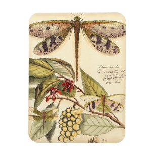 Magnet Flexible Les libellules aux Feuilles et aux fruits