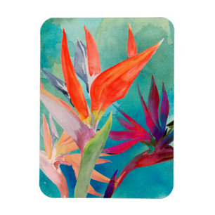 Magnet Flexible Les oiseaux vivants du paradis